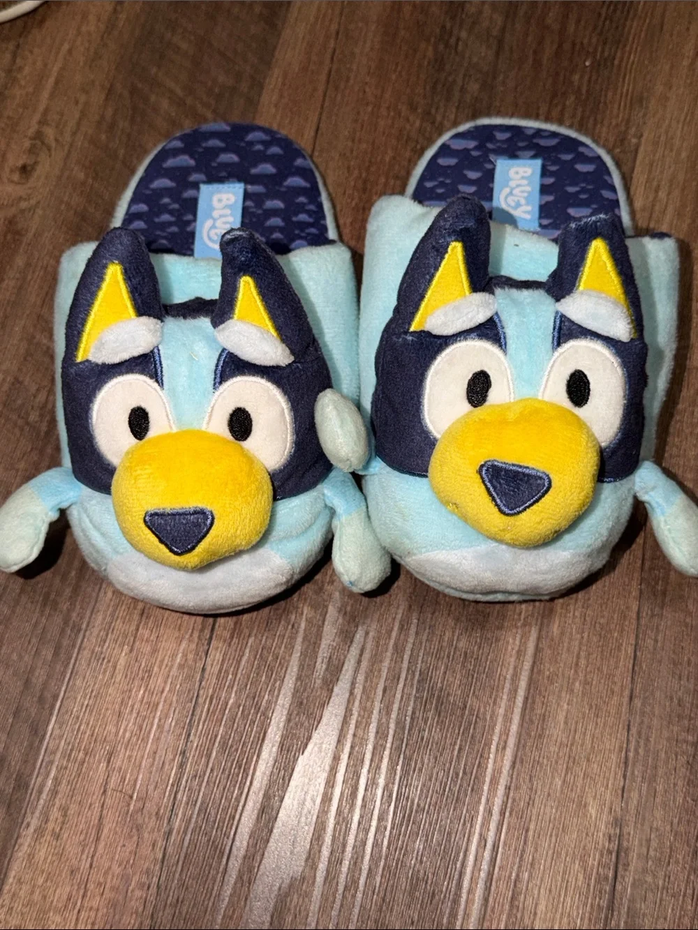 Bluey Kids Slippers - Blue and Yellow size 13/1